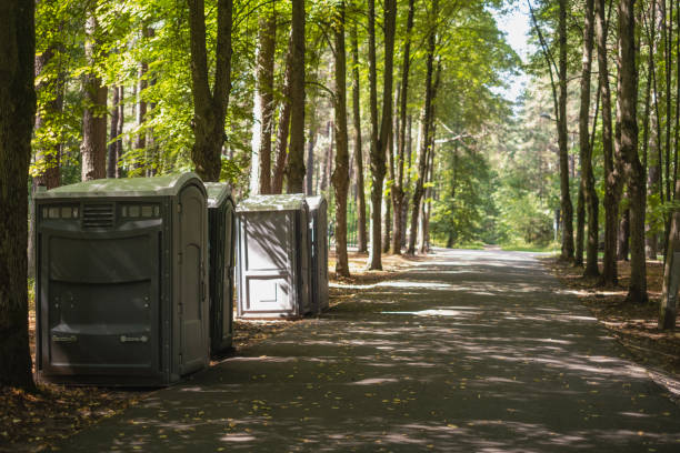 Best Wedding porta potty rental  in Lan, MI